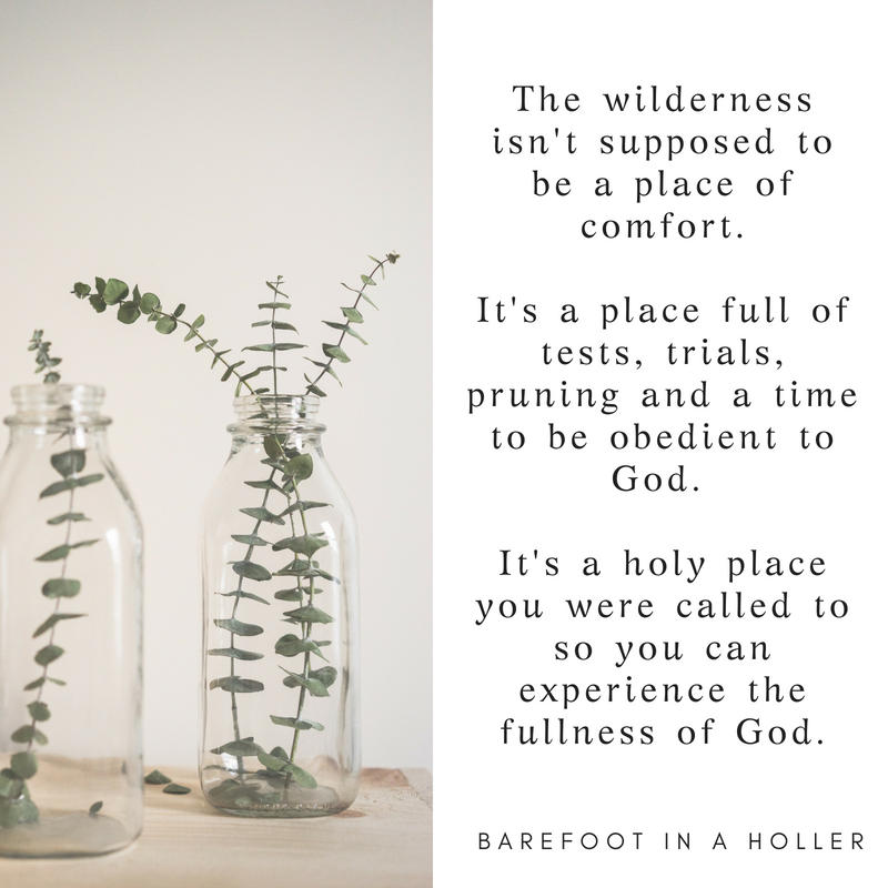 Fullness in the wilderness